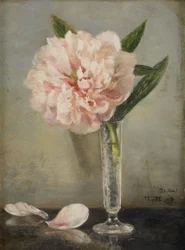 牡丹のある静物